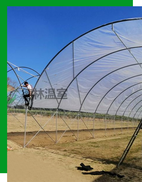 發(fā)貨現(xiàn)場(chǎng)